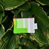 Mini-pochette Menthe